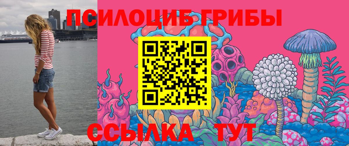 Лысьва  Псилоцибиновые грибы MAGIC MUSHROOMS  Галлюциногенные грибы Psilocybine cubensis  Вход с VPN 